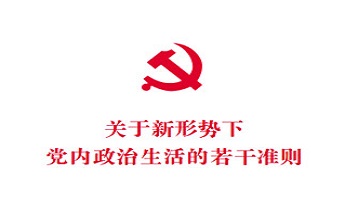 关于新形势下党内政治生活的若干准则